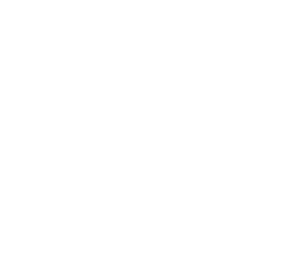 PRO Fitness banner logo